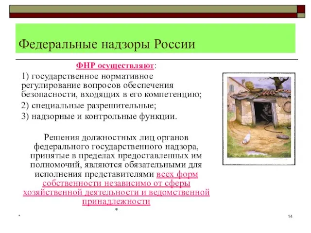 * Федеральные надзоры России ФНР осуществляют: 1) государственное нормативное регулирование