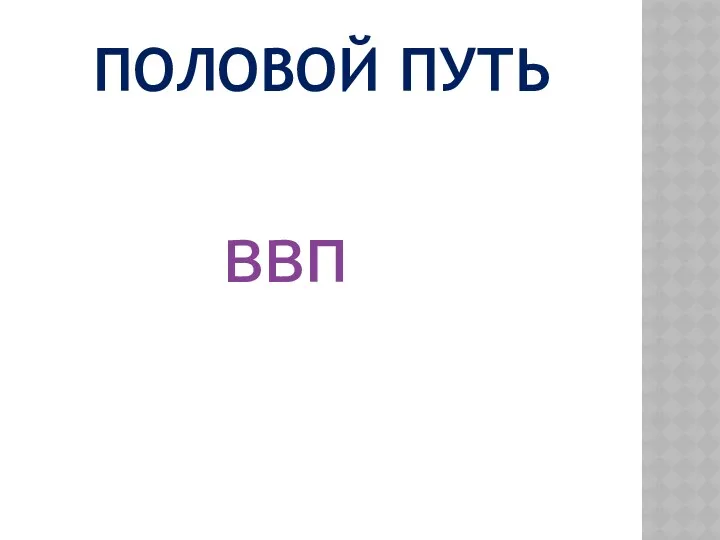 ПОЛОВОЙ ПУТЬ ввп