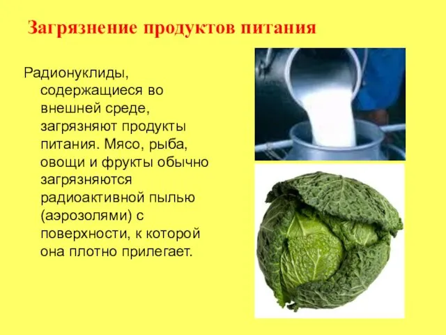 Радионуклиды, содержащиеся во внешней среде, загрязняют продукты питания. Мясо, рыба,