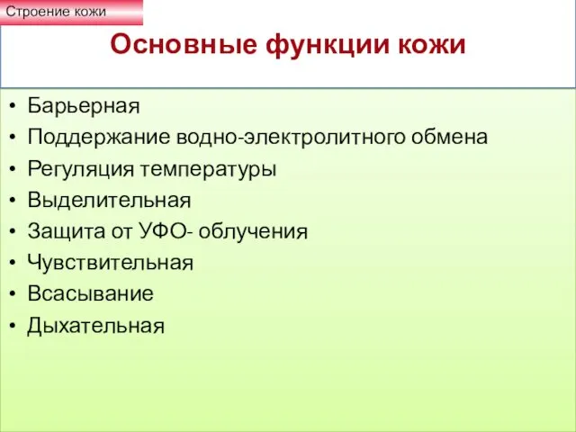 Основные функции кожи Барьерная Поддержание водно-электролитного обмена Регуляция температуры Выделительная