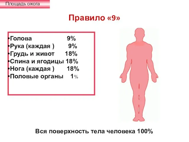 Правило «9» Площадь ожога Голова 9% Рука (каждая ) 9%