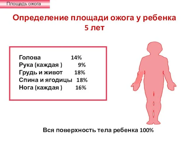 Определение площади ожога у ребенка 5 лет Площадь ожога Голова