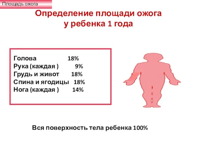 Определение площади ожога у ребенка 1 года Площадь ожога Голова