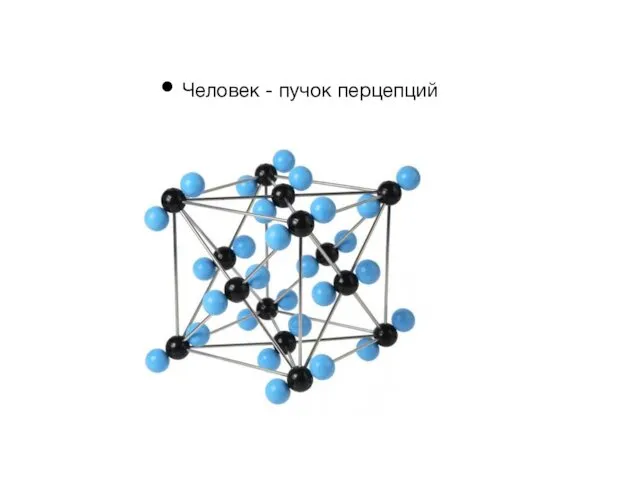 Человек - пучок перцепций