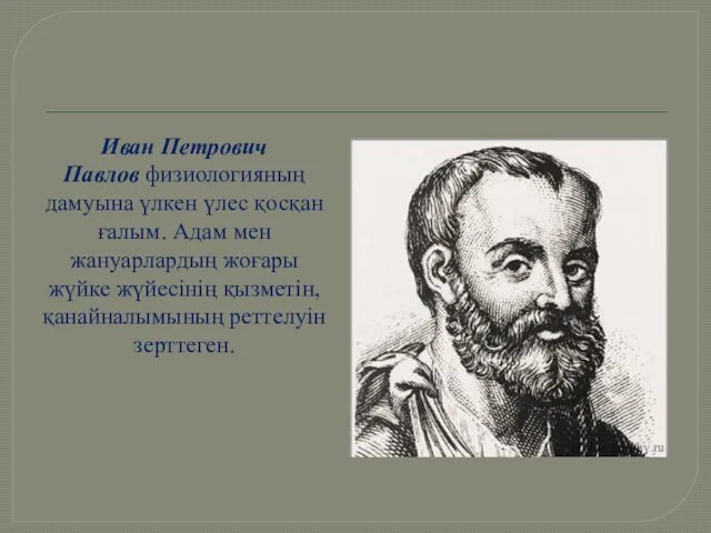 Иван Петрович Павлов физиологияның дамуына үлкен үлес қосқан ғалым. Адам