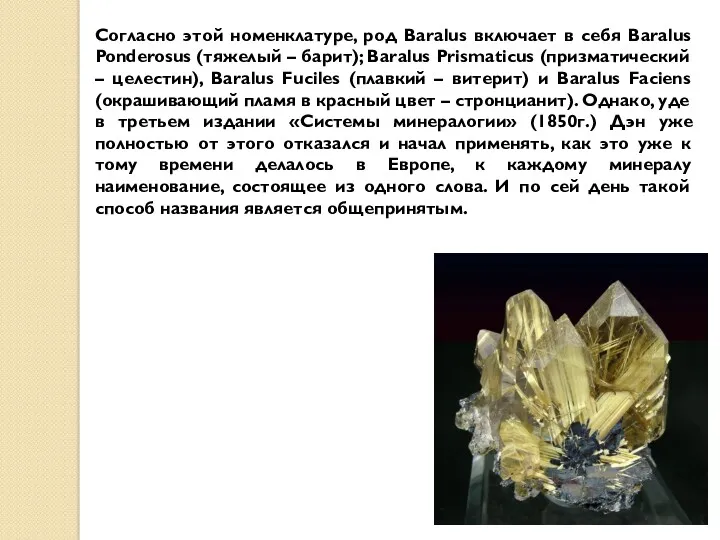 Согласно этой номенклатуре, род Baralus включает в себя Baralus Ponderosus