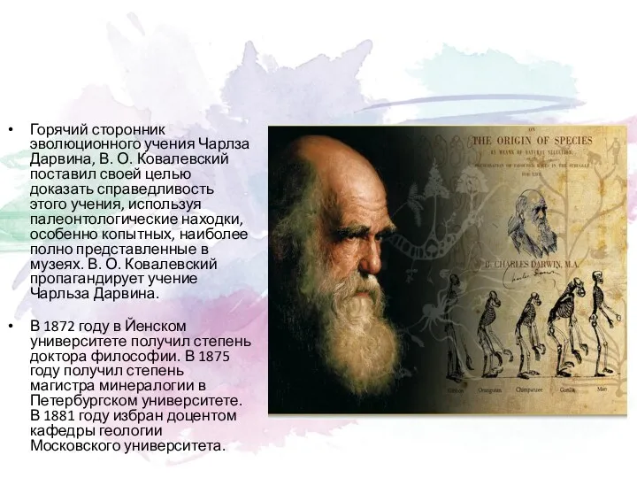 Горячий сторонник эволюционного учения Чарлза Дарвина, В. О. Ковалевский поставил