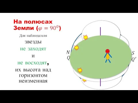 Для наблюдателя звезды не заходят и не восходят, их высота над горизонтом неизменная