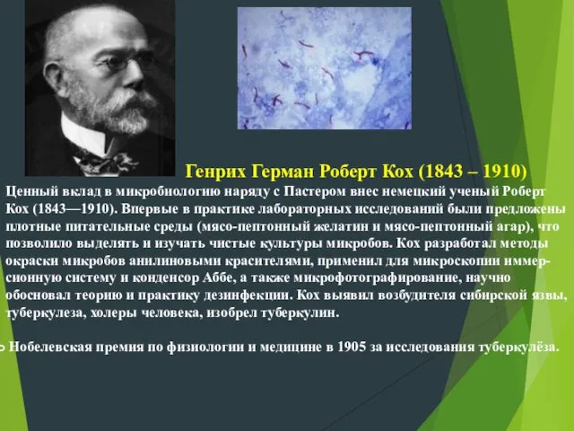 Генрих Герман Роберт Кох (1843 – 1910) Ценный вклад в микробиологию наряду с