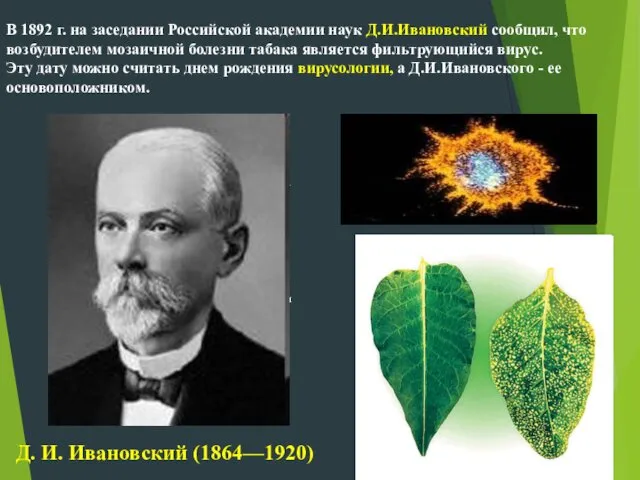 а я В 1892 г. на заседании Российской академии наук Д.И.Ивановский сообщил, что