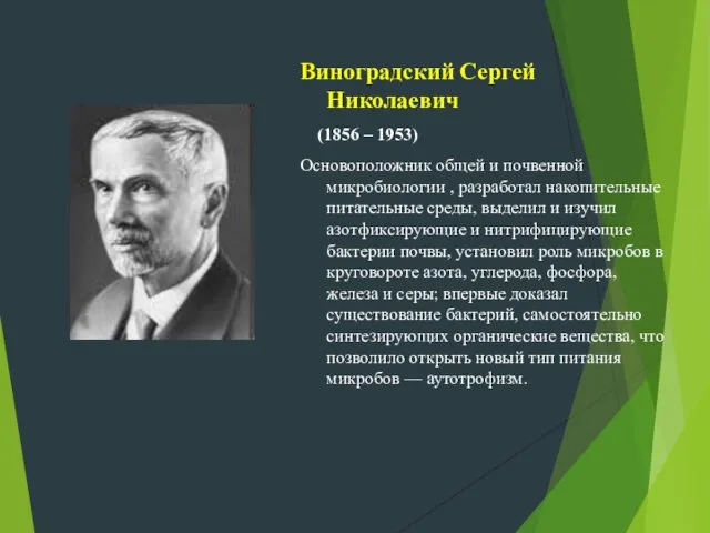 Виноградский Сергей Николаевич (1856 – 1953) Основоположник общей и почвенной