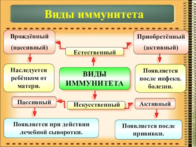 ВИДЫ ИММУНИТЕТА Естественный Искусственный Врождённый (пассивный) Приобретённый (активный) Пассивный Активный