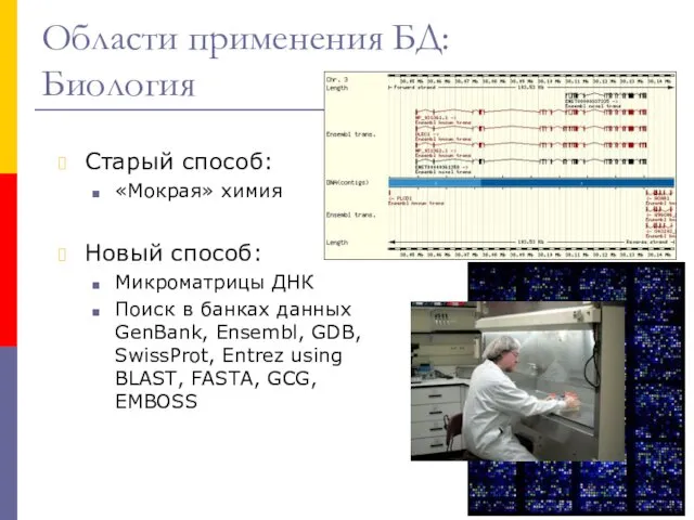 Области применения БД: Биология Старый способ: «Мокрая» химия Новый способ: