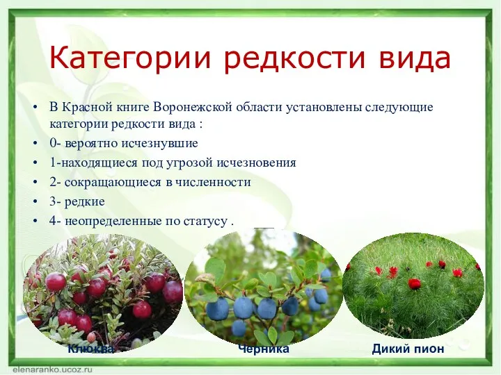 Категории редкости вида В Красной книге Воронежской области установлены следующие категории редкости вида