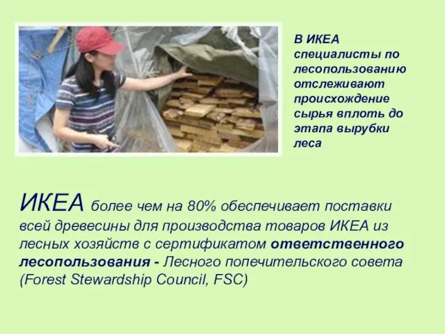 ИКЕА более чем на 80% обеспечивает поставки всей древесины для производства товаров ИКЕА