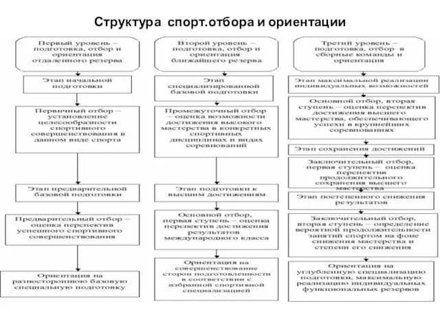 Структура спорт.отбора и ориентации