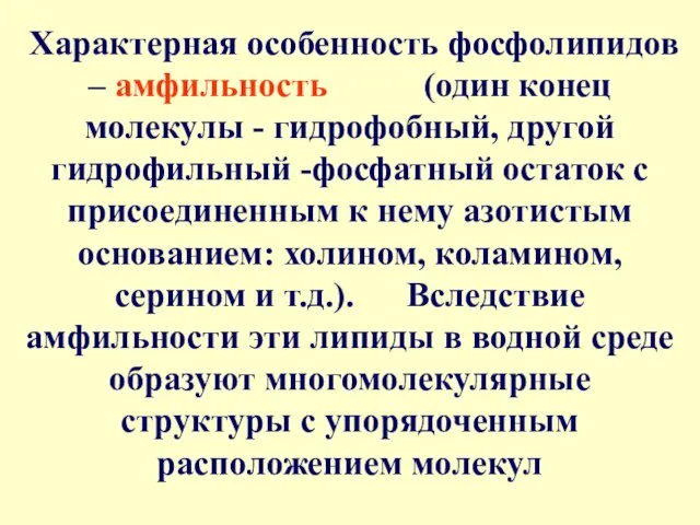 Характерная особенность фосфолипидов – амфильность (один конец молекулы - гидрофобный, другой гидрофильный -фосфатный