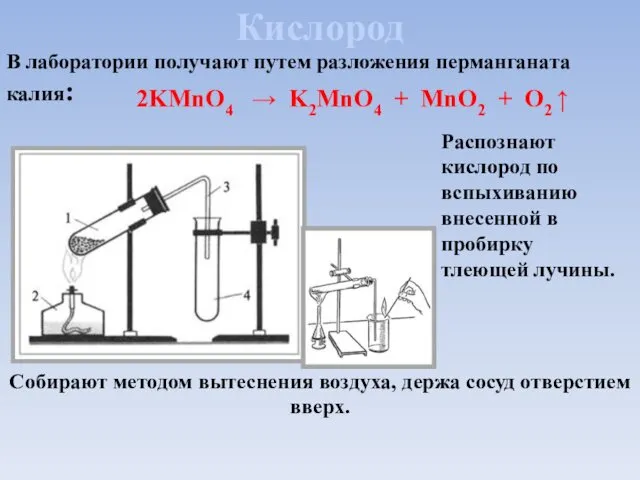 Кислород В лаборатории получают путем разложения перманганата калия: Собирают методом