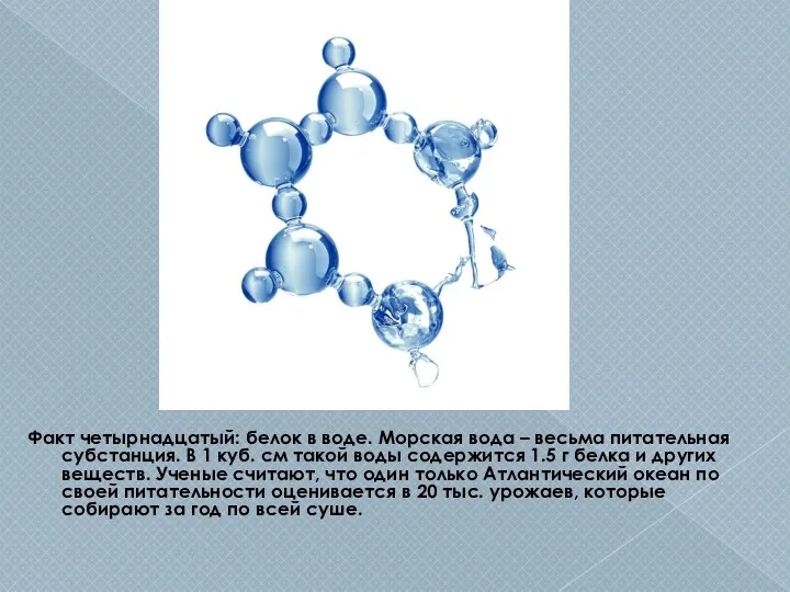 Факт четырнадцатый: белок в воде. Морская вода – весьма питательная