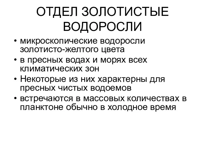 ОТДЕЛ ЗОЛОТИСТЫЕ ВОДОРОСЛИ микроскопические водоросли золотисто-желтого цвета в пресных водах