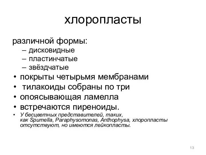 хлоропласты различной формы: дисковидные пластинчатые звёздчатые покрыты четырьмя мембранами тилакоиды