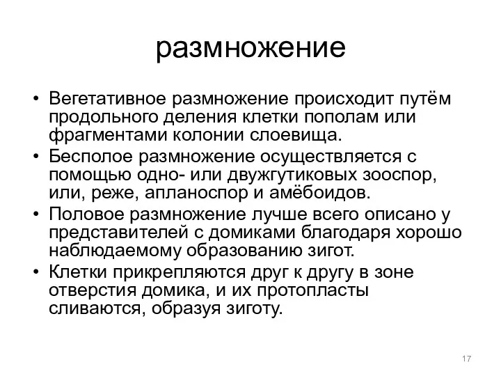 размножение Вегетативное размножение происходит путём продольного деления клетки пополам или