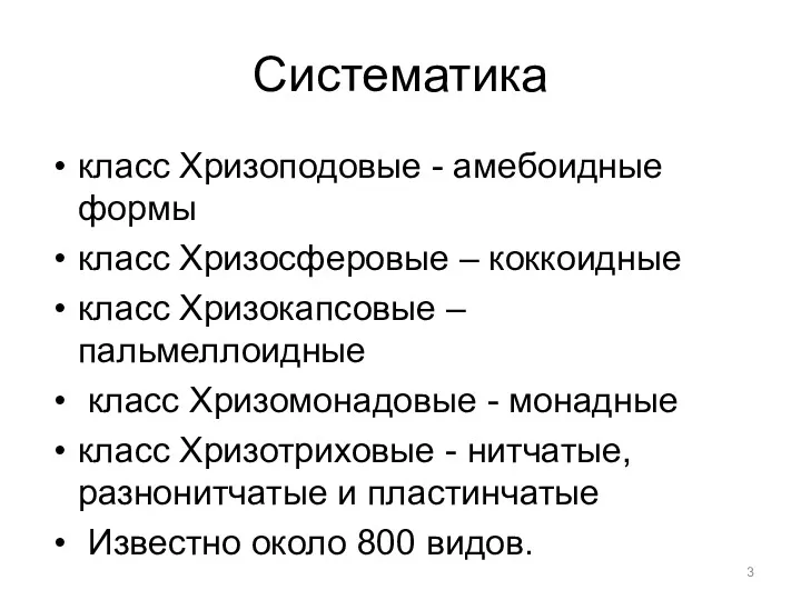 Систематика класс Хризоподовые - амебоидные формы класс Хризосферовые – коккоидные