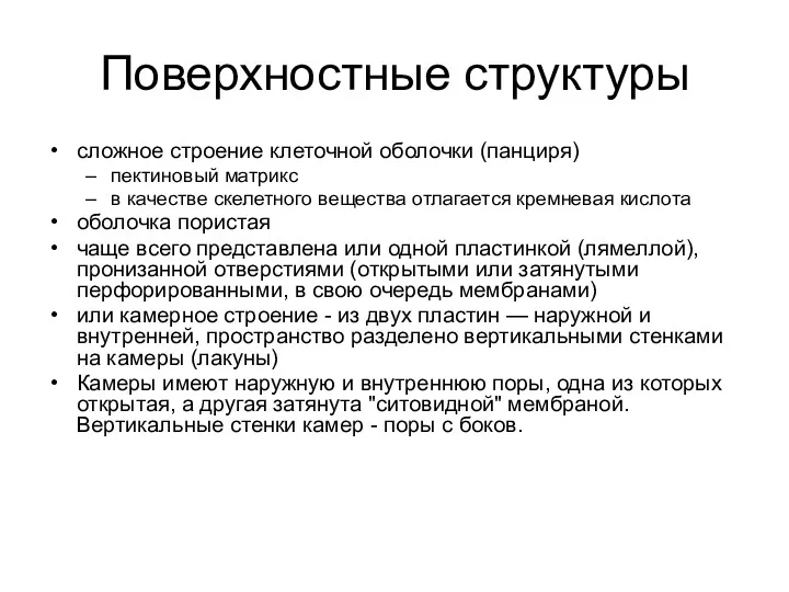 Поверхностные структуры сложное строение клеточной оболочки (панциря) пектиновый матрикс в