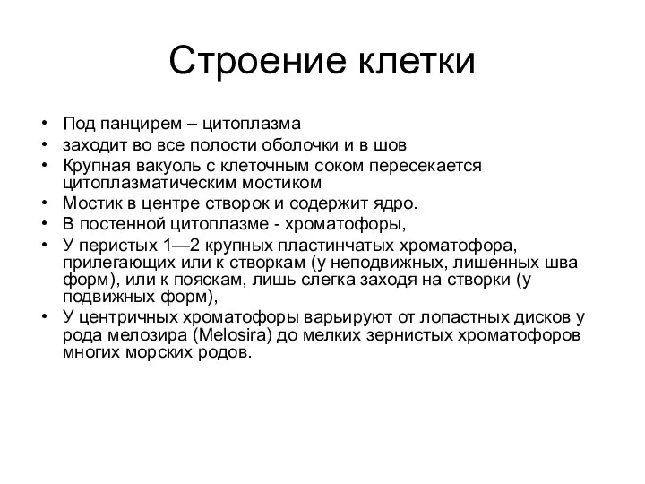 Строение клетки Под панцирем – цитоплазма заходит во все полости