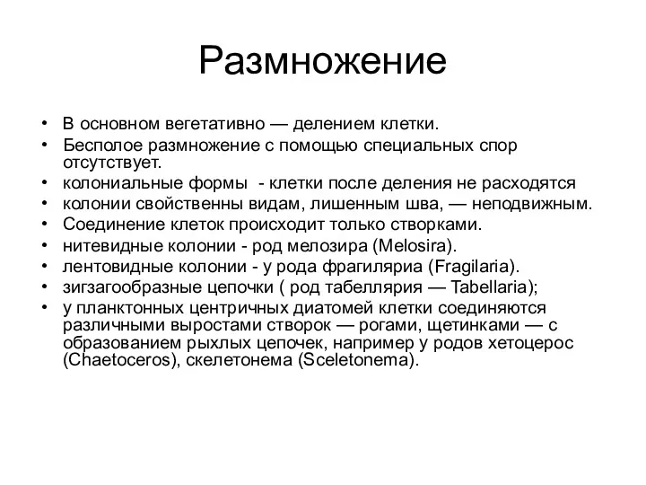 Размножение В основном вегетативно — делением клетки. Бесполое размножение с