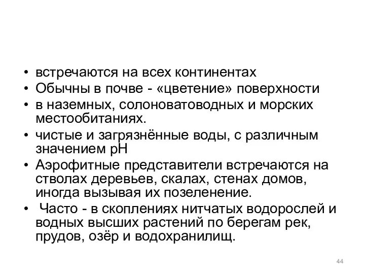 встречаются на всех континентах Обычны в почве - «цветение» поверхности