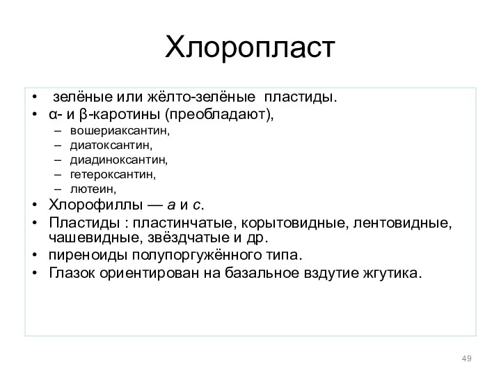 Хлоропласт зелёные или жёлто-зелёные пластиды. α- и β-каротины (преобладают), вошериаксантин,