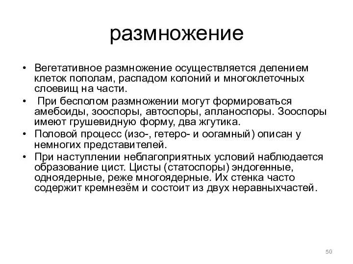 размножение Вегетативное размножение осуществляется делением клеток пополам, распадом колоний и