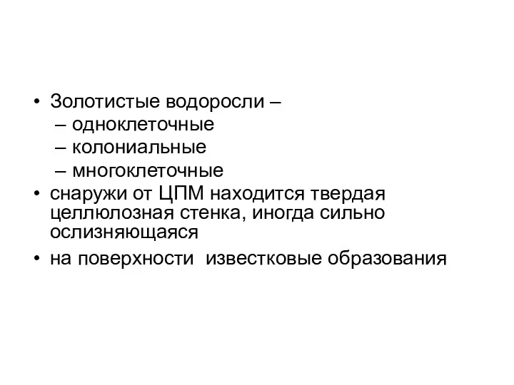 Золотистые водоросли – одноклеточные колониальные многоклеточные снаружи от ЦПМ находится