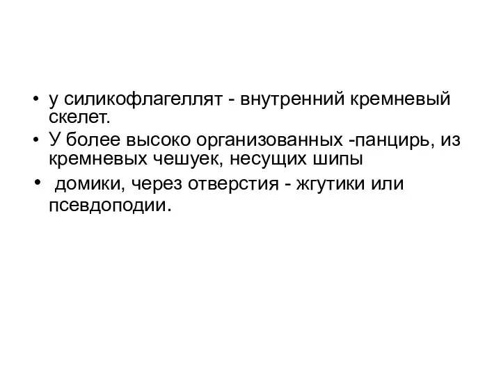 у силикофлагеллят - внутренний кремневый скелет. У более высоко организованных