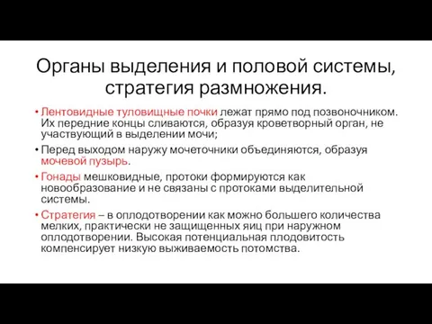 Органы выделения и половой системы, стратегия размножения. Лентовидные туловищные почки