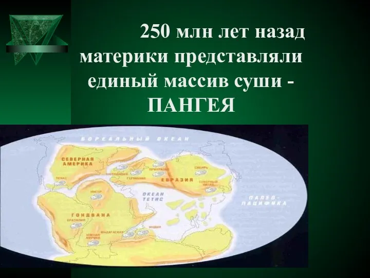 250 млн лет назад материки представляли единый массив суши - ПАНГЕЯ