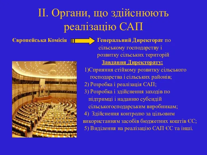 ІІ. Органи, що здійснюють реалізацію САП Європейська Комісія Генеральний Директорат