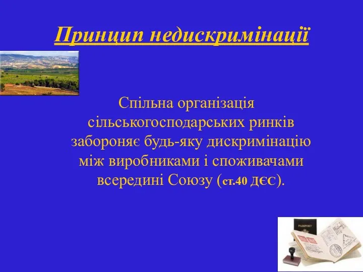 Принцип недискримінації Спільна організація сільськогосподарських ринків забороняє будь-яку дискримінацію між