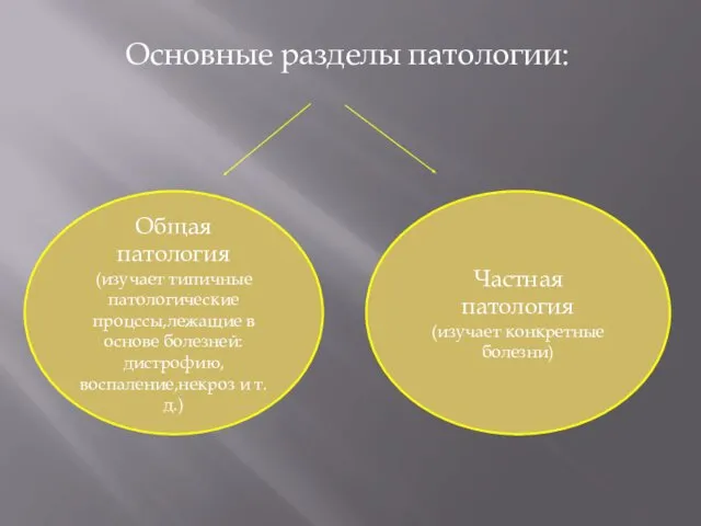 Основные разделы патологии: Общая патология (изучает типичные патологические процссы,лежащие в