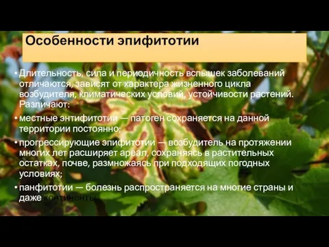 Особенности эпифитотии Длительность, сила и периодичность вспышек заболеваний отличаются, зависят