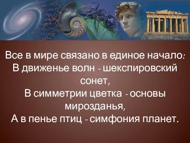 Все в мире связано в единое начало: В движенье волн