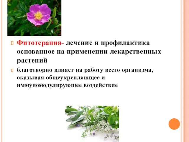 Фитотерапия- лечение и профилактика основанное на применении лекарственных растений благотворно