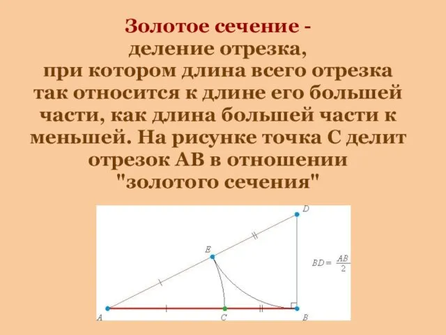 Золотое сечение - деление отрезка, при котором длина всего отрезка