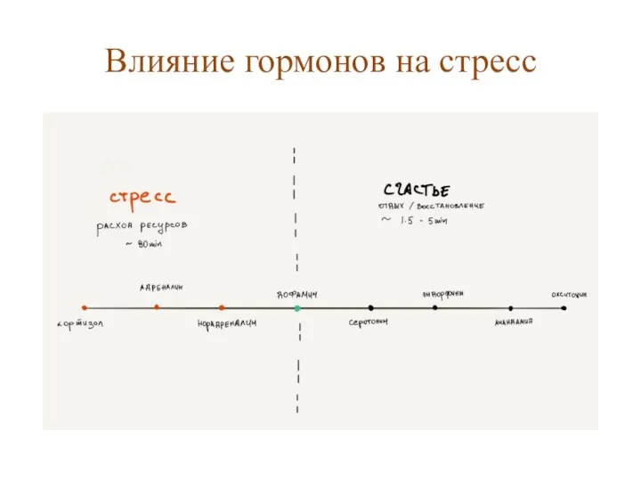 Влияние гормонов на стресс