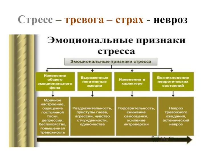 Стресс – тревога – страх - невроз