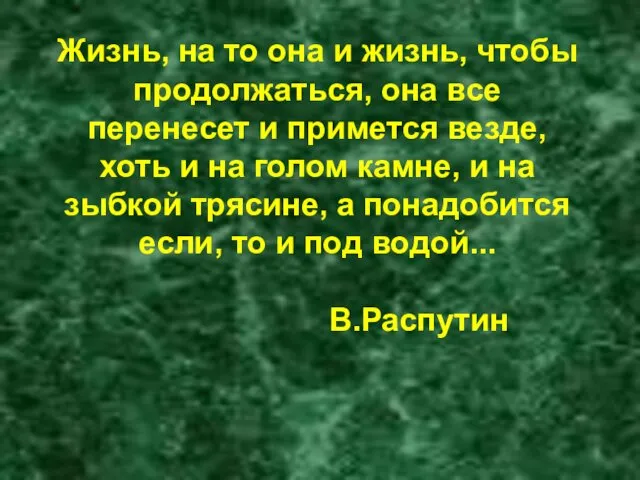 Жизнь, на то она и жизнь, чтобы продолжаться, она все