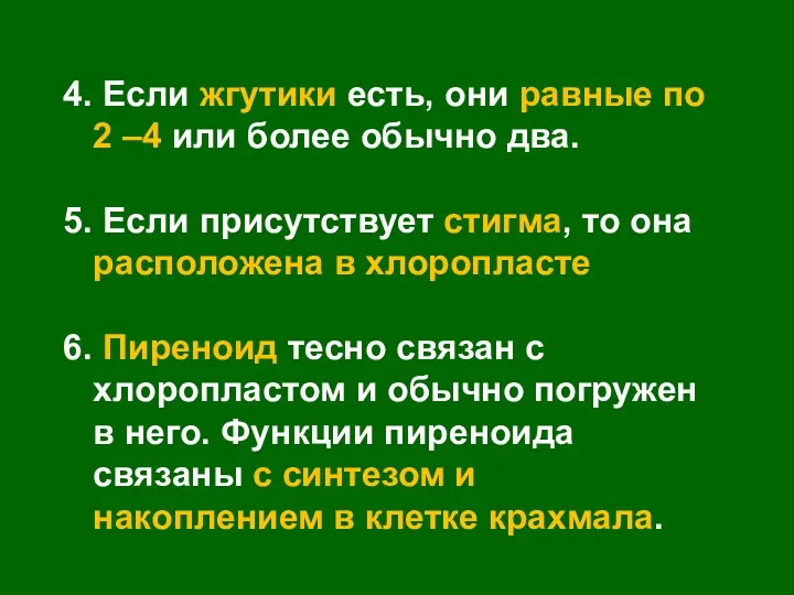 4. Если жгутики есть, они равные по 2 –4 или