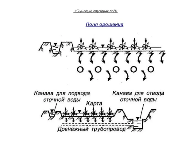 «Очистка сточных вод» Поля орошения