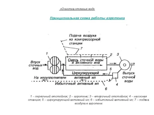 «Очистка сточных вод» Принципиальная схема работы аэротенка 1 – первичный